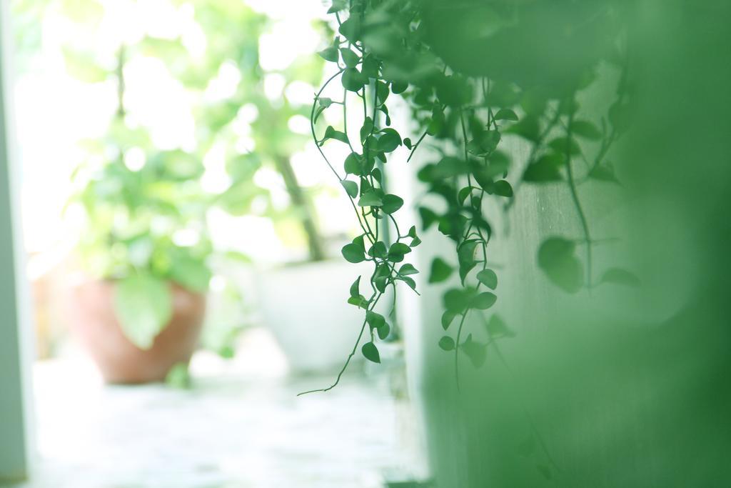 Cozy Boutique Hotel Phnom-Penh Buitenkant foto